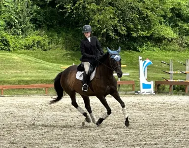 Rider in arena at Furlyn Farm